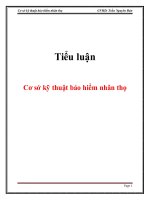 Tiểu luận: Cơ sở kỹ thuật bảo hiểm nhân thọ
