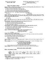 thi dịnh kì hk2 lớp 6