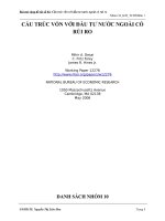 CẤU TRÚC VỐN VỚI ĐẦU TƯ NƯỚC NGOÀI CÓ RỦI RO