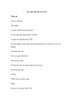 Cho thuê rừng đối với tổ chức. pot