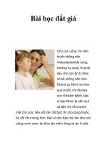 Bài học đắt giá pptx