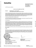 báo cáo tài chính đã kiểm toán năm 2008 ngân hàng xăng dầu petrolimex pg bank