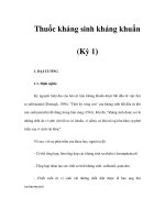 Thuốc kháng sinh kháng khuẩn (Kỳ 1) doc