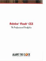 Adobe Flash CS3: The Professional Portfolio- P1 pot