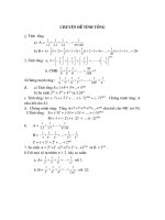 chuyen de tinh tong toan7