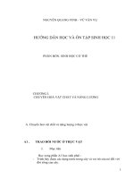 KT ôn tập sinh 11