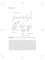 Introduction to Modern Liquid Chromatography, Third Edition part 28 docx