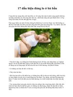 17 dấu hiệu đáng lo ở bà bầu pdf