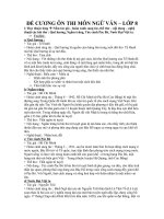 Bài soạn đề cương ôn tập HKII - Ngữ văn