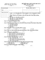 Đề thi Tin lớp 3 kì 1(08-09)