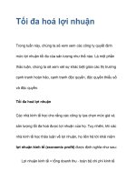 Tối đa hoá lợi nhuận pps