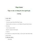 Giáo án sinh học 8 - Thực hành: Tập sơ cứu và băng bó cho người gãy xương ppt