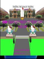 Slide bài giảng môn sinh 