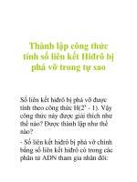 Thành lập công thức tính số liên kết Hiđrô bị phá vỡ trong tự sao pptx