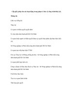 Cấp giấy phép cho các hoạt động trong phạm vi bảo vệ công trình thủy lợi doc