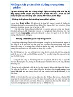 NHỮNG CHẤT PHẢN DINH DƯỠNG