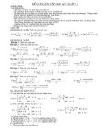 Đề cương ôn tập HK2 - K11