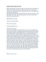 phân tích mùa xuân nho nhỏ