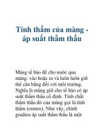 Tính thấm của màng áp suất thẩm thấu pdf