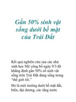 Gần 50% sinh vật sống dưới bề mặt của Trái Đất pps