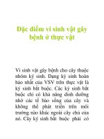 Đặc điểm vi sinh vật gây bệnh ở thực vật pdf