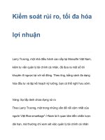 Kiểm soát rủi ro, tối đa hóa lợi nhuận pptx