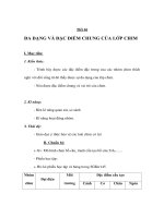 Sinh học 7 - ĐA DẠNG VÀ ĐẶC ĐIỂM CHUNG CỦA LỚP CHIM pps