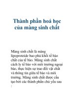 Thành phần hoá học của màng sinh chất docx
