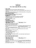 Bài 46: Ánh sáng cần cho sự sống