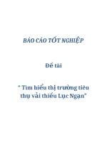 Đề tài “ Tìm hiểu thị trường tiêu thụ vải thiều Lục Ngạn” pps