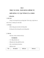 Sinh học 7 - THỰC H ÀNH : XEM BĂNG HÌNH VỀ ĐỜI SỐNG VÀ TẬP TÍNH CỦA CHIM pot