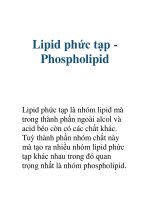 Lipid phức tạp Phospholipid L ppt