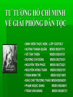 TƯ TƯỞNG HỒ CHÍ MINH VỀ GIẢI PHÓNG DÂN TỘC ppt