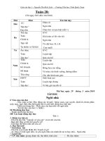 Tuần 28 lớp 1-CKTKN