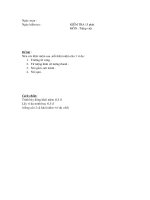 KIEM TRA 15 PHUT TIENG VIET -8- LAN 2