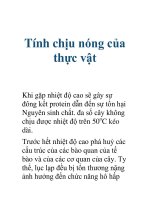 Tính chịu nóng của thực vật doc