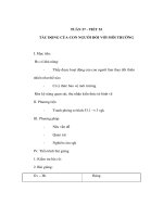 Giáo án Sinh học 9 - TÁC ĐỘNG CỦA CON NGƯỜI ĐỐI VỚI MÔI TRƯỜNG doc