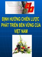 ĐỊNH HƯỚNG CHIẾN LƯỢC PHÁT TRIỂN BỀN VỮNG CỦA VIỆT NAM pot