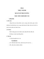 Sinh học 7 - THỰC HÀNH QUAN SÁT BỘ XƯƠNG MẪU MỔ CHIM BỒ CÂU potx