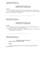 De Kiem tra thuc hanh tin 11