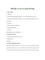 Giáo án sinh học 8 - Hô hấp và các cơ quan hô hâp potx