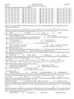 Đề mẫu Hoá_11 HK II số 4