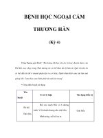 BỆNH HỌC NGOẠI CẢM THƯƠNG HÀN (Kỳ 4) potx