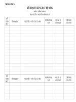 MẪU ĐĂNG KÝ KẾ HOẠCH SỬ DỤNG TB DẠY HỌC MỚI