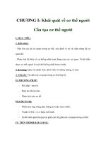 Giáo án sinh học 8 - Khái quát về cơ thể người Cấu tạo cơ thể người doc