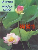 BÀI TẬP NHÓM MÔN XUẤT XỨ HÀNG HÓA (BÀI SỐ 10) ppt