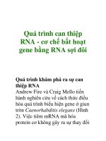 Quá trình can thiệp RNA - cơ chế bất hoạt gene bằng RNA sợi đôi pptx