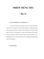 NHIỄM TRÙNG TIỂU (Kỳ 2) pdf