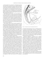 Improved Outcomes in Colon and Rectal Surgery part 9 ppt