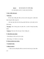 Sinh học 7 - SỰ ĐA DẠNG CỦA THÚ (tiếp) - CÁC BỘ MÓNG GUỐC VÀ BỘ LINH TRƯỞNG pot